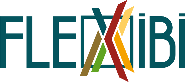 Flexibi logo