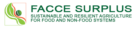 Facce Surplus logo